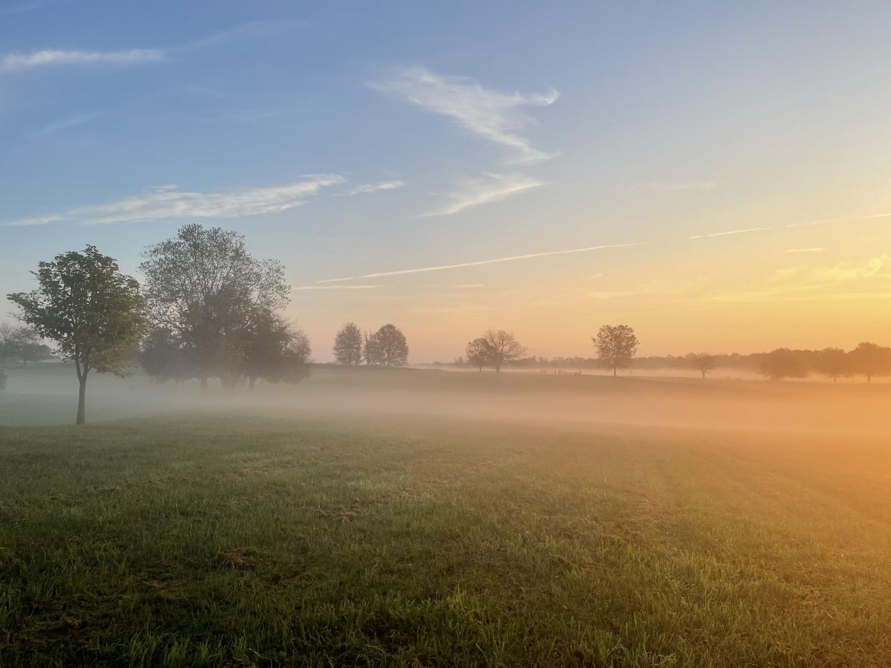 American landscape