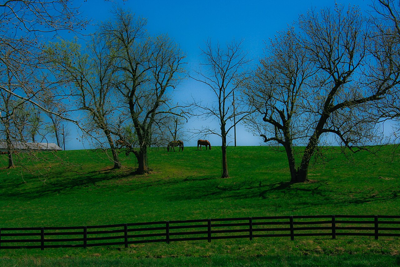 Washington landscape