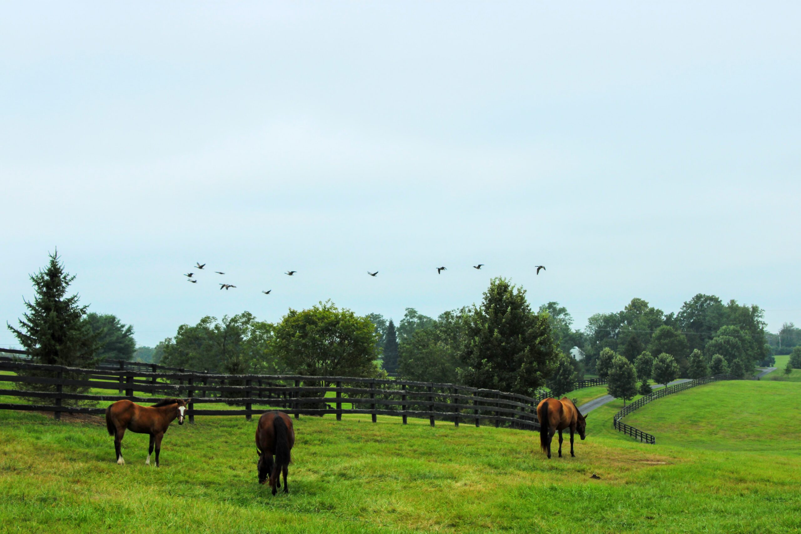 Washington landscape