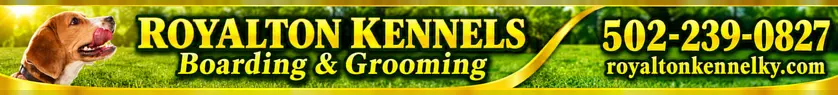 Featured sponsors