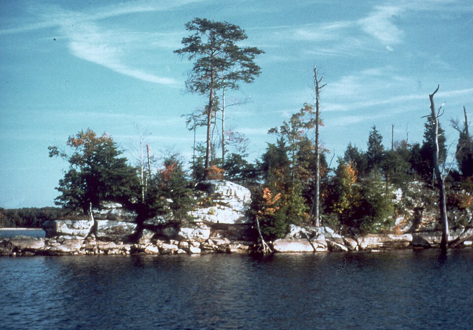 Laurel River Lake Kentucky.jpg