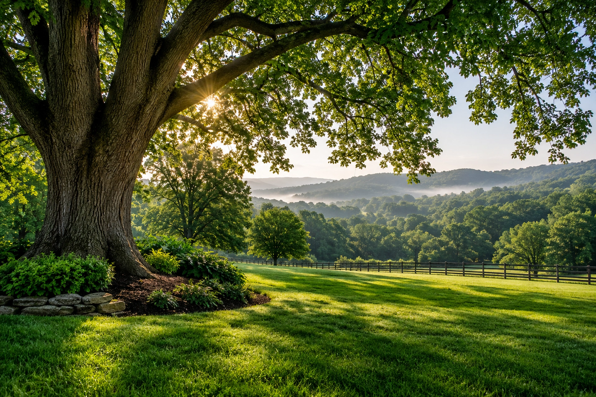 Scoville Tree Service LLC artwork